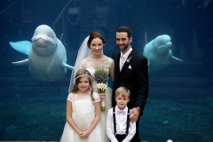 Wedding Photography