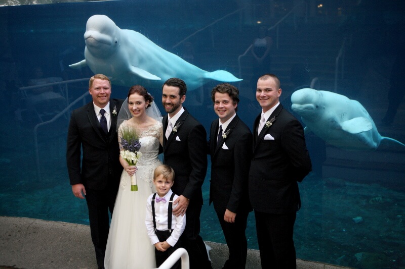 Mystic Connecticut Aquarium Wedding