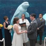 Wedding party with beluga whale at Mystic Aquarium