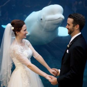 Aquarium Wedding