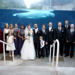 Wedding Bride and Groom in Mystic CT Aquarium