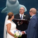 Wedding Bride and Groom with beluga in Mystic Aquarium